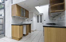 Berkhamsted kitchen extension leads